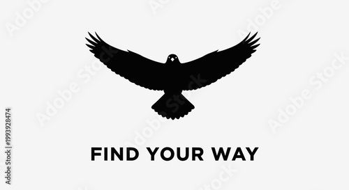 Silhouette of a soaring hawk with wings spread wide, above the text "FIND YOUR WAY"