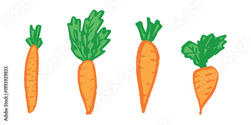Hand drawn farm carrot plant with green leaves Fresh vegetable doodle set Healthy eco food Organic garden vegetarian food For design, print, packaging, decor, kids books