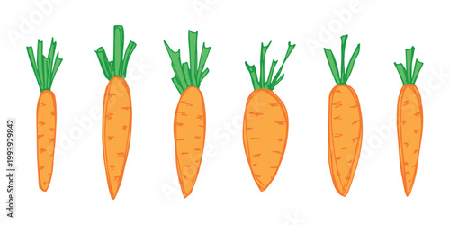 Hand drawn farm carrot plant with green leaves Fresh vegetable doodle set Healthy eco food Organic garden vegetarian food For design, print, packaging, decor, kids books