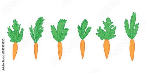 Hand drawn farm carrot plant with green leaves Fresh vegetable doodle set Healthy eco food Organic garden vegetarian food For design, print, packaging, decor, kids books