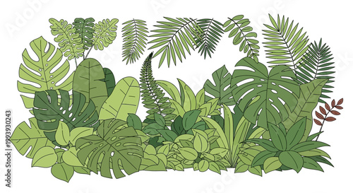Collection of various green tropical leaves.
