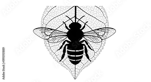 Silhouetted bee rests on a delicate skeletal leaf with intricate vein details.