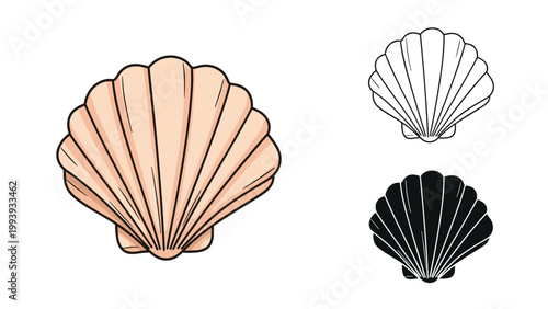 Three illustrations of a scallop seashell presented in color, line art, and solid black silhouette styles on white.