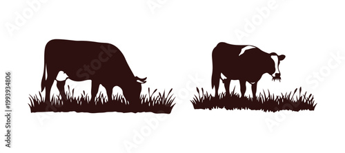Cows happily chew on grass, shown through hand-drawn illustrations.

