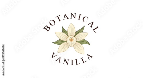 Botanical illustration of vanilla flower with text isolated on white background