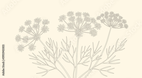 Delicate botanical illustration of dill plant in soft earth tone colors