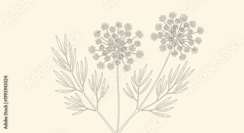 Delicate botanical illustration of two flowers and leaves against a cream background