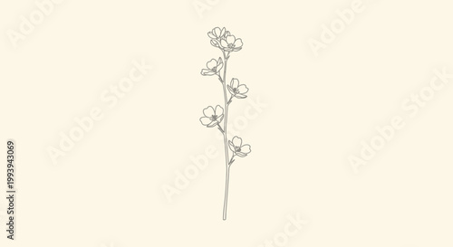 Delicate floral illustration of a blossoming branch on neutral background