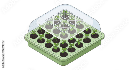 Isometric illustration of a green seedling starter tray with numerous young sprouts under a clear plastic humidity dome on a clean white background