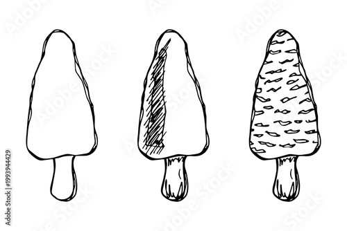 Hand drawn mushroom doodle set Botanical illustration Cute autumn mushroom Healthy eco food Organic vegetarian food For stickers, greeting card, design, print, packaging, decor, kids books