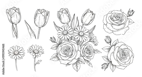 Vintage hand drawn floral sketches, botanical line art collection of roses tulips and daisies, black and white vector flower illustrations for wedding stationery