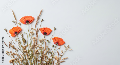 Overhead view of vivid orange dried poppies natural wild grasses and delicate botanicals artfully arranged on a clean light gray background.