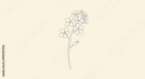 Delicate purple bellflower illustration on greenish background
