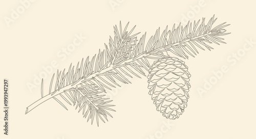 Detailed illustration of a pine branch with a conical pine cone