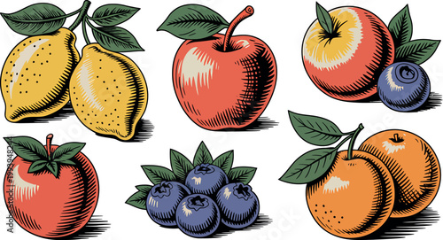 Assortment of fresh fruits like apples, lemons, blueberries, and oranges Vector Illustration.