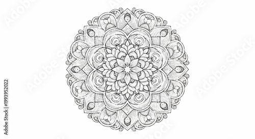 Intricate Mandala Design Black and White Line Art.