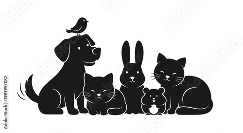 Black dog cat bird rabbit animal.
