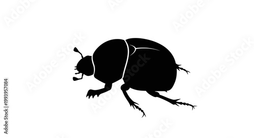 Black silhouette of a beetle insect.