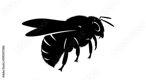 Black silhouette of a flying insect.