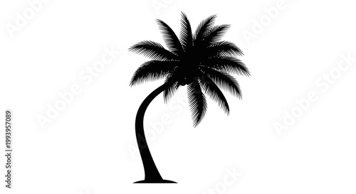 Black silhouette of a single palm tree.