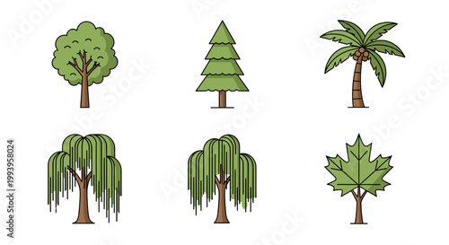 A collection of six distinct tree illustrations, featuring a deciduous tree, a coniferous tree, a palm tree, two weeping willow trees, and a maple tree, presented against a white background.