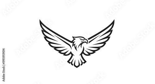 Black and white eagle flying.