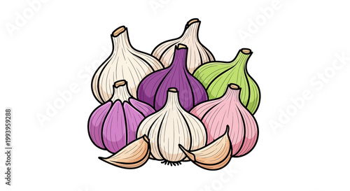 Colorful illustration of garlic bulbs.