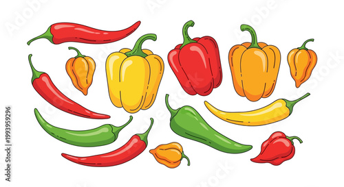 Colorful peppers and chili peppers.
