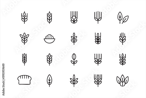 Wheat and grain icons, agriculture, bakery, organic crop symbols for web and app UI design