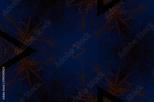 Dark blue background image with organic elements 
