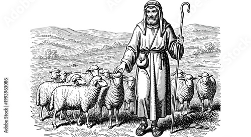 Shepherd with flock of sheep grazing.