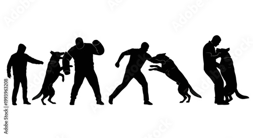 Silhouette of dog training sequence.