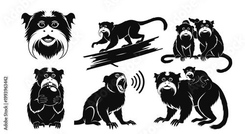 Black and white monkey illustrations.