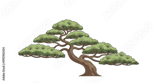 Bonsai Tree with Green Leaves.