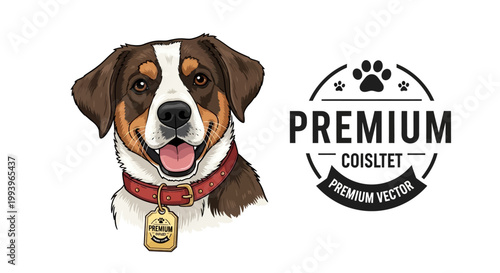 Brown and White Dog Portrait.