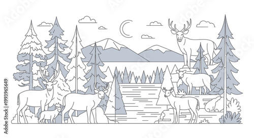 Elk standing in forest habitat.