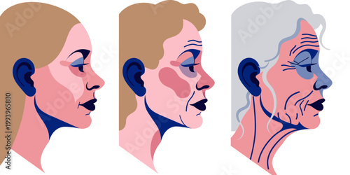 A minimalist digital illustration showing the aging process of a woman's profile in three stages: youth (smooth skin, blonde hair), middle age (emerging wrinkles, shorter hair), and old age.