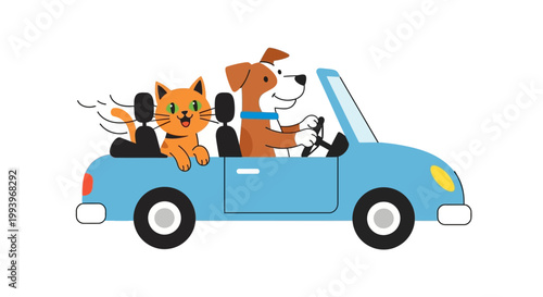 Dogs and cat in a car.