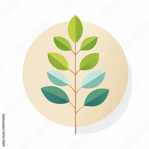 Green leaves on a light beige circular background with soft shadow