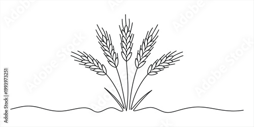 A simple black and white line drawing of a cluster of five wheat stalks emerging from wavy ground. Vector, illustration