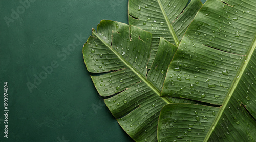 Banana Leaves Flat Lay with Water Drops Tropical Background