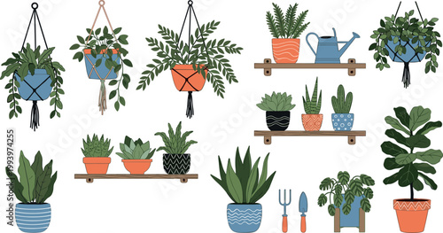 Indoor houseplants vector set with hanging planters potted greenery shelves watering tools botanical home decor collection isolated illustration