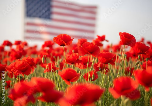 Red Poppy Flowers with Blurred American Flag Background