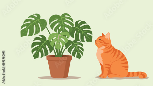 Beautiful ginger tabby cat sitting next to a large monstera deliciosa plant in a terracotta pot against a soft green background.