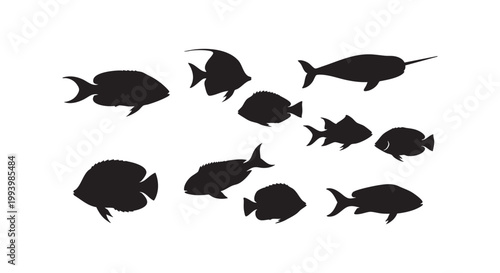 Fish silhouettes set different kinds of fish isolated on white background vector.