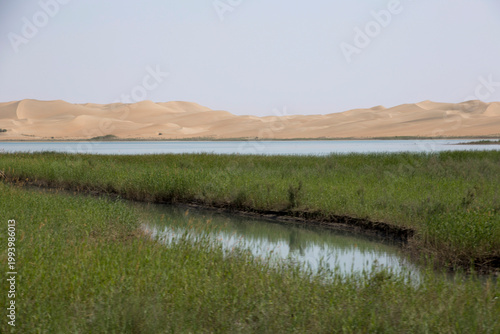 landscape of Taklamakan Desert and oasis