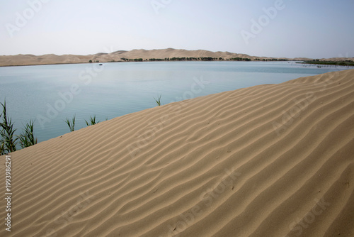 landscape of Taklamakan Desert and oasis