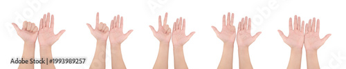 Set of human hands showing counting gestures isolated on white background, fingers representing numbers in sequence. Ideal for education, counting concept, sign language basics, learning materials