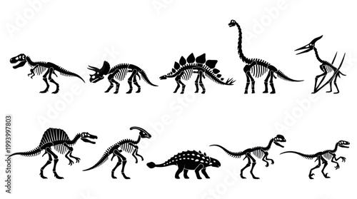 Dinosaur Skeletons Icons Set Vector - Black  White Line Art