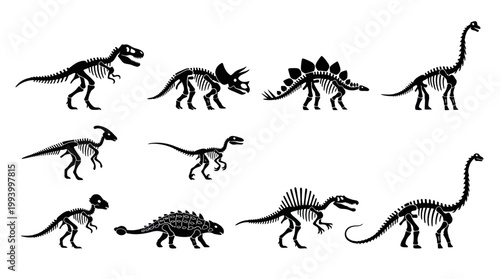 Dinosaur Skeletons Prehistoric Paleontology Vector Silhouette Collection Set